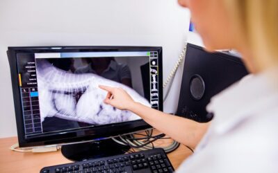 How Diagnostic Imaging at Douglas Animal Hospital Helps Vets See What You Can’t