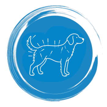 acupuncture icon